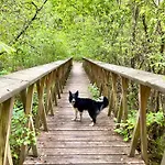 Przystanek Σπίτι διακοπών Gałkowo