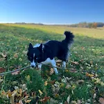 Σπίτι διακοπών Przystanek Gałkowo