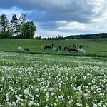 Przystanek Σπίτι διακοπών Gałkowo