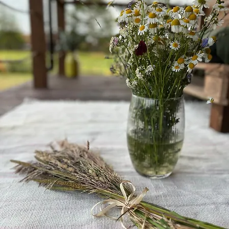 Przystanek * Gałkowo