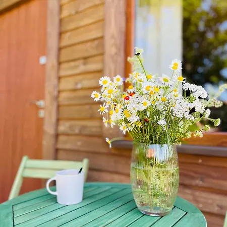 Przystanek 펜션 Gałkowo