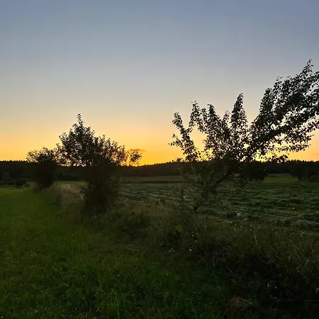 Przystanek *