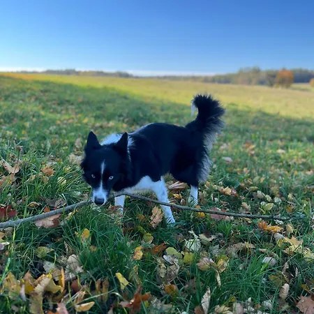 度假居 Przystanek Gałkowo