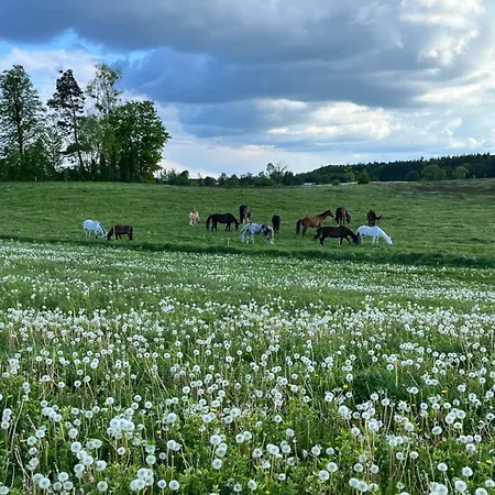 Przystanek 度假居 Gałkowo